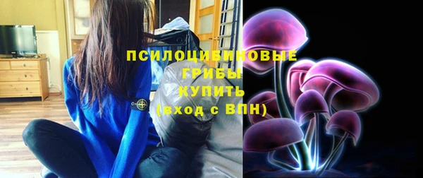 ГАЛЛЮЦИНОГЕННЫЕ ГРИБЫ Снежинск